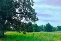 Undeveloped Land in McCracken County, Kentucky