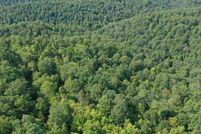Timberland Property in Roane County, West Virginia