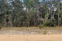 Undeveloped Land in Alachua County, Florida