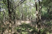 Timberland Property in Hunt County, Texas