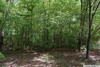 Undeveloped Land for sale in Etowah County, Alabama