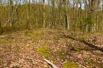 Undeveloped Land in Bath County, Kentucky