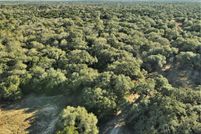 Undeveloped Land in Lavaca County, Texas