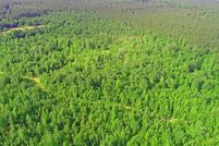 Horse Property in Clarendon County, South Carolina