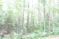 Undeveloped Land in Vilas County, Wisconsin