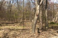 Timberland Property in Berrien County, Michigan