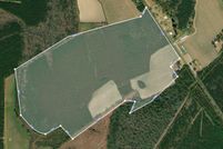 Undeveloped Land in Williamsburg County, South Carolina