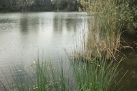 Property in McLean County, Illinois