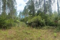 Farm Property in Dixie County, Florida