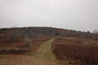 Property in Otsego County, New York