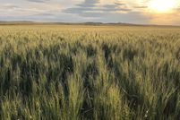 Property in Garfield County, Montana