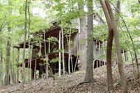 Timberland Property in Halifax County, Virginia