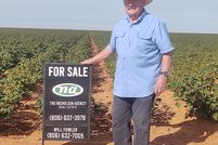 Farm Property in Terry County, Texas