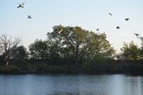 Recreational Property in Archer County, Texas