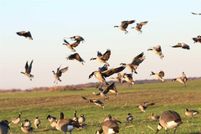 Property in Caddo County, Oklahoma