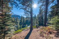Farm Property in Washoe County, Nevada