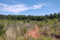Undeveloped Land in Simpson County, Mississippi