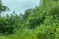Undeveloped Land for sale in Pike County, Kentucky