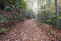 Undeveloped Land for sale in Cherokee County, North Carolina