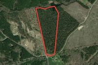 Hunting Land in Halifax County, Virginia