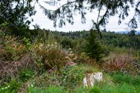 Farm Property in Coos County, Oregon