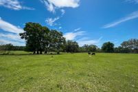 Undeveloped Land in Alachua County, Florida
