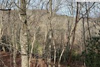 Undeveloped Land for sale in Ashe County, North Carolina