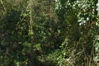 Property for sale in Calhoun County, Alabama