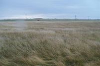 Undeveloped Land in Mountrail County, North Dakota
