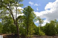 Timberland Property in Otsego County, Michigan