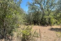 Undeveloped Land in Wilson County, Texas