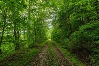 Property in Bledsoe County, Tennessee