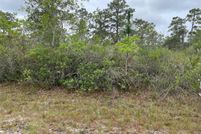 Timberland Property for sale in Polk County, Florida
