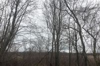 Undeveloped Land in Berrien County, Michigan