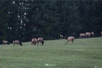 Property in Cowlitz County, Washington