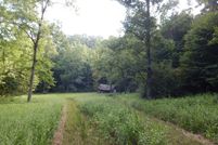 Undeveloped Land in Ritchie County, West Virginia