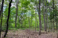 Property in Delta County, Michigan