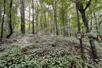 Undeveloped Land in Cherokee County, Georgia