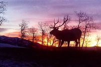 Recreational Property in Morgan County, Utah