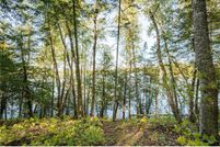 Ranch Property in Itasca County, Minnesota