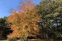 Property for sale in Monroe County, Pennsylvania