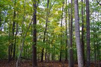 Undeveloped Land in Rockingham County, North Carolina