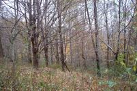 Property in Pocahontas County, West Virginia