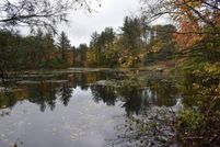 Undeveloped Land in Oswego County, New York