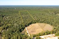 Undeveloped Land in San Jacinto County, Texas