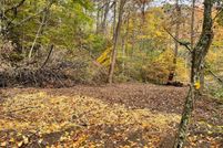 Undeveloped Land in Ritchie County, West Virginia