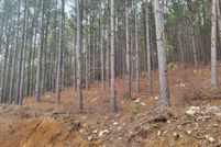 Undeveloped Land for sale in Le Flore County, Oklahoma