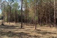 Farm Property for sale in Amite County, Mississippi