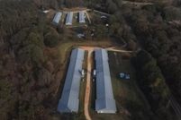 Undeveloped Land in Smith County, Mississippi