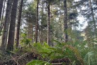 Undeveloped Land in Humboldt County, California